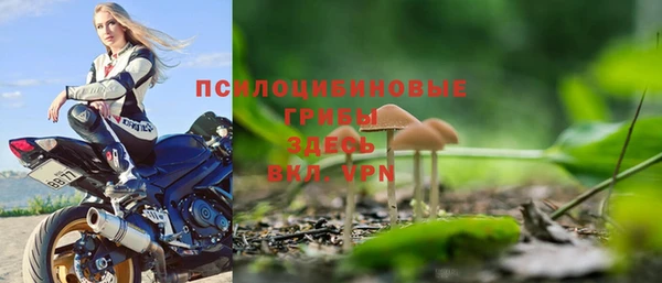 метадон Покачи