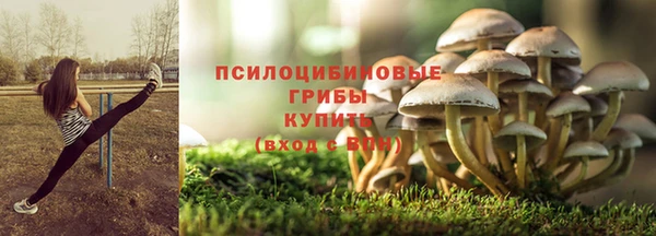 мяу мяу мука Алзамай